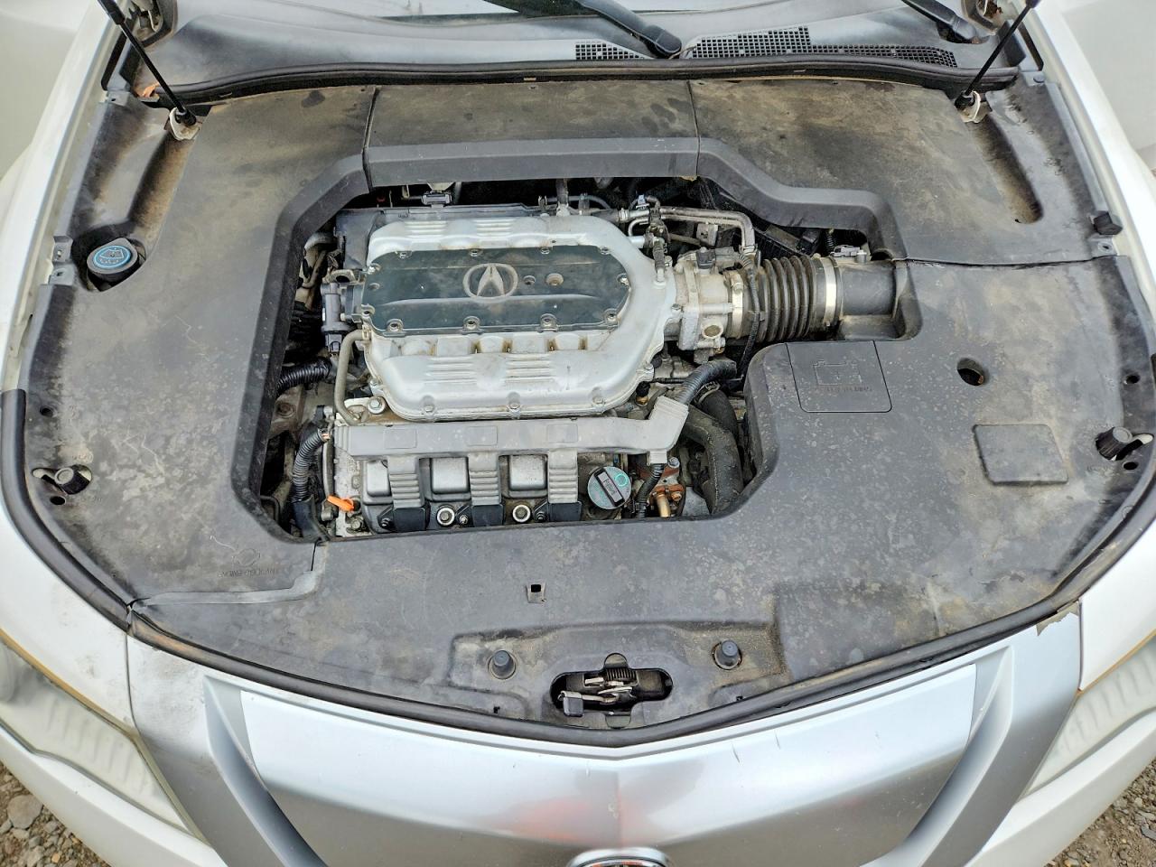 2010 Acura Tl Белый vin: 19UUA9F51AA004061