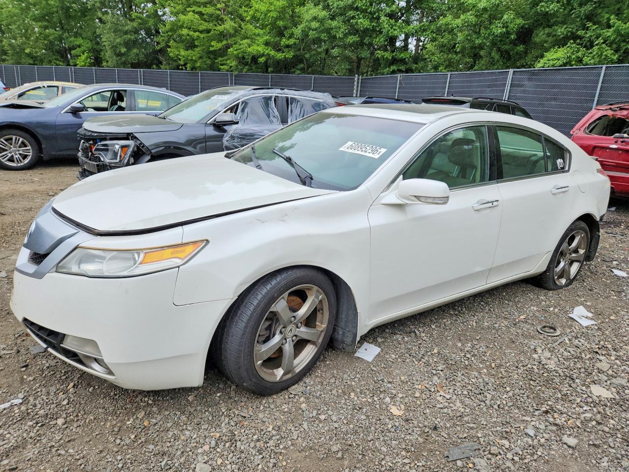 2010 Acura Tl White vin: 19UUA9F51AA004061