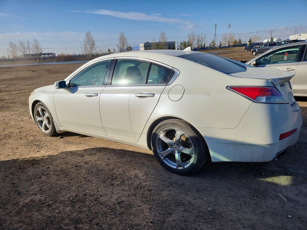 2010 Acura Tl White vin: 19UUA9F51AA800227