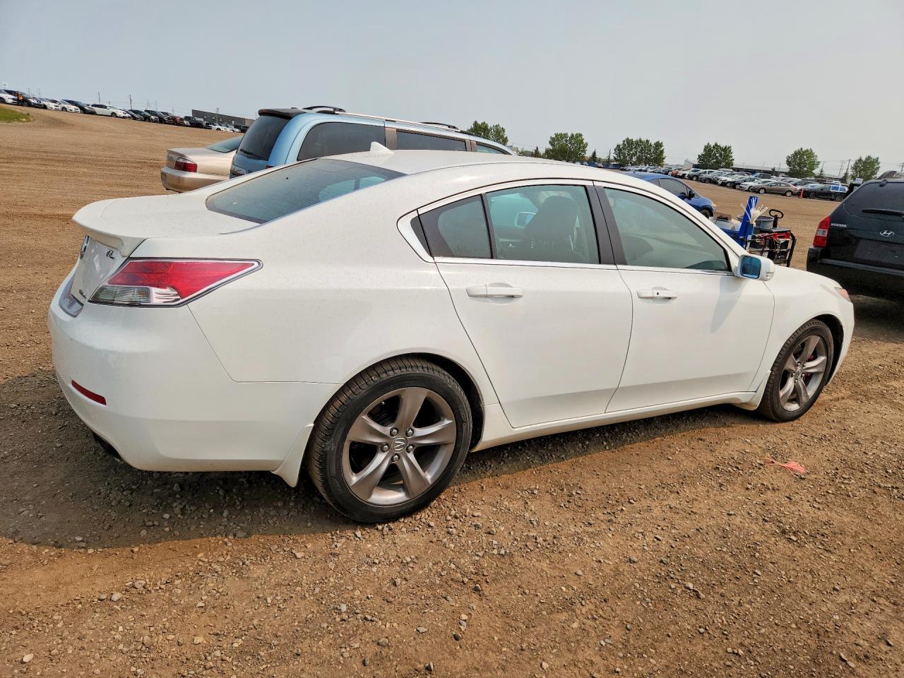 2013 Acura Tl Tech Белый vin: 19UUA9F51DA800930