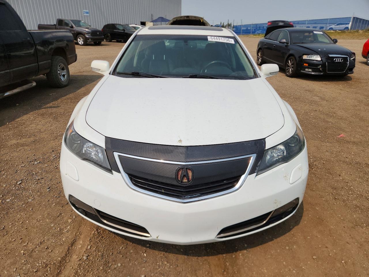 2013 Acura Tl Tech Белый vin: 19UUA9F51DA800930