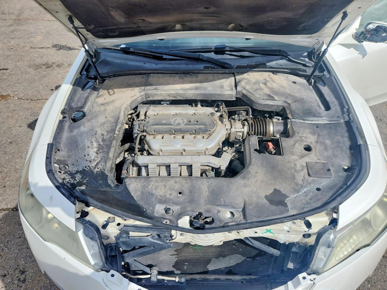 2010 Acura Tl Белый vin: 19UUA9F55AA005925
