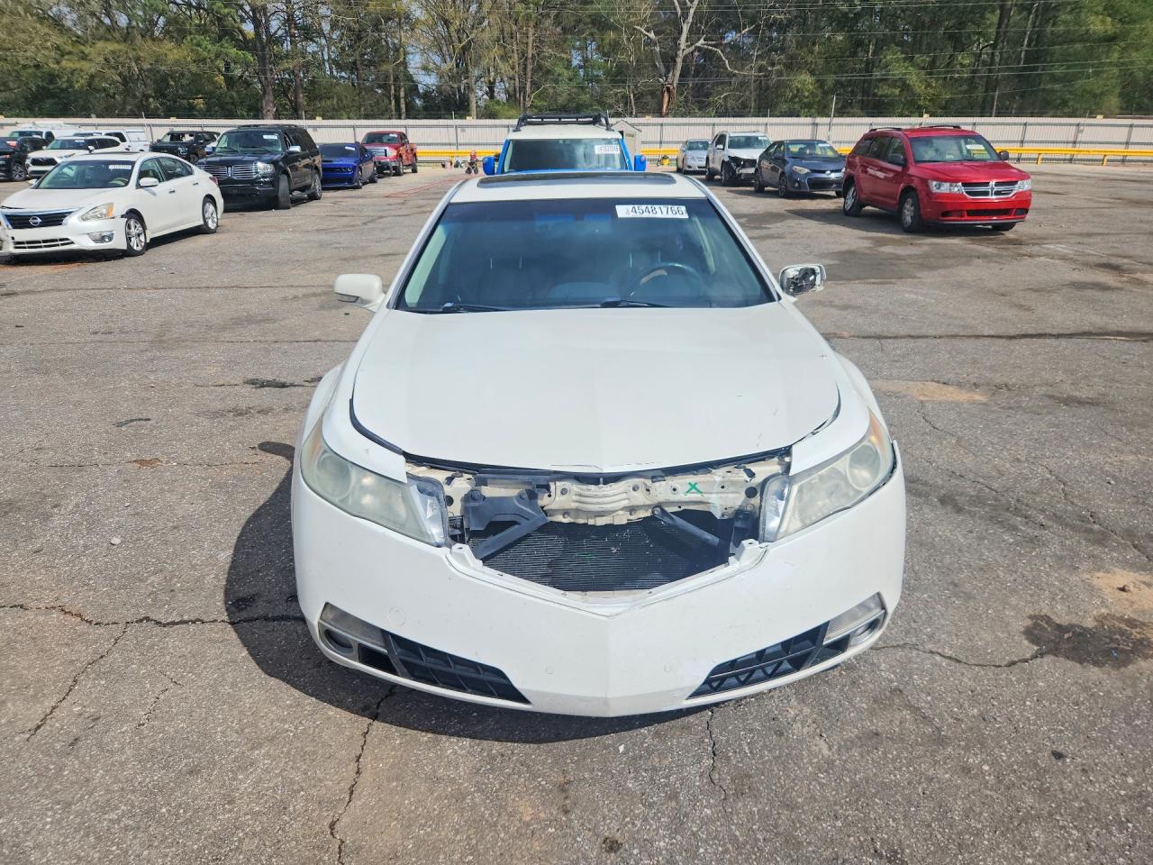 2010 Acura Tl Белый vin: 19UUA9F55AA005925