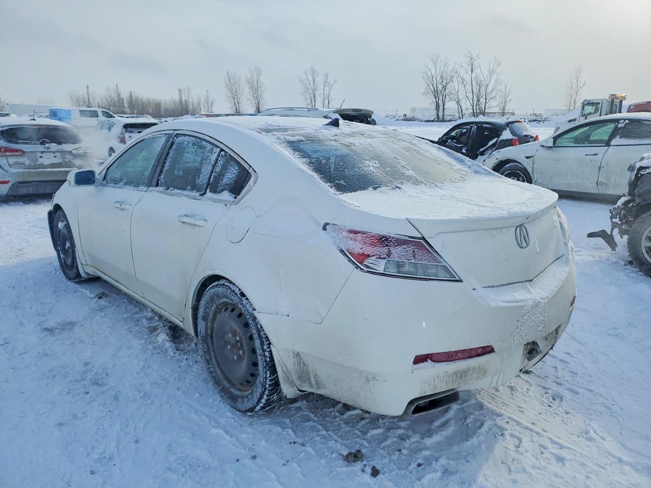 2010 Acura Tl White vin: 19UUA9F56AA800109
