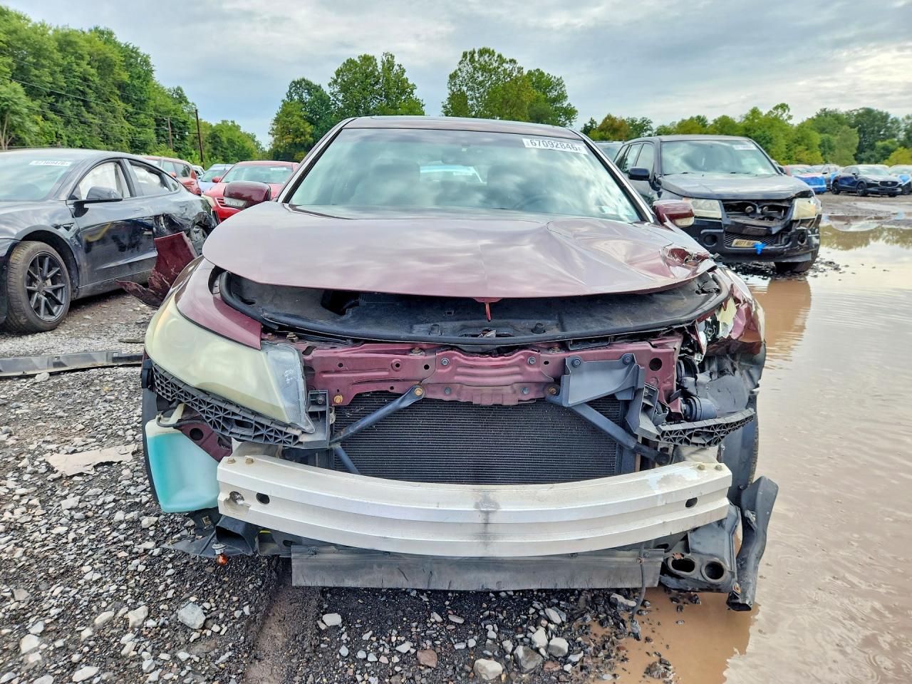 2012 Acura Tl Burgundy vin: 19UUA9F56CA002213