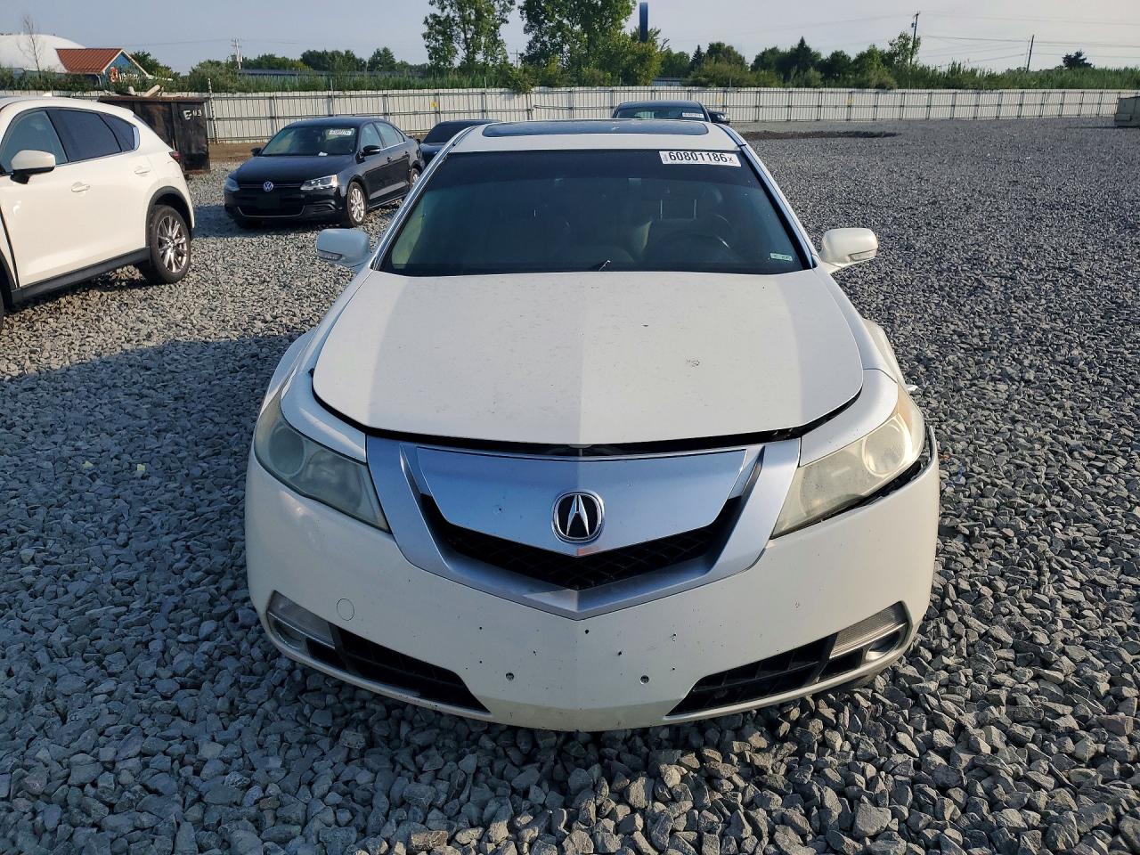 2010 Acura Tl White vin: 19UUA9F58AA007622