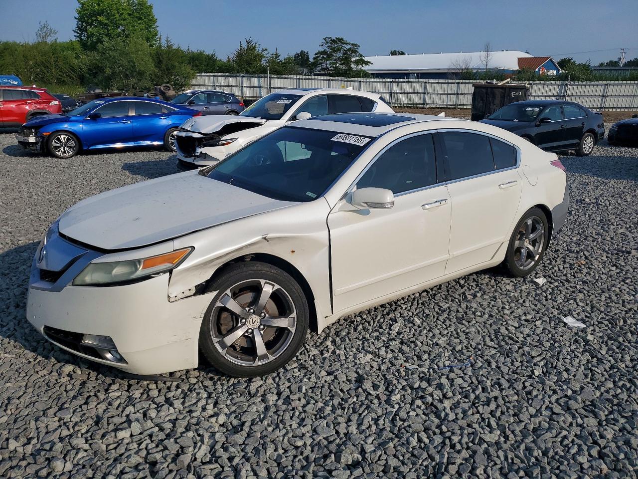 2010 Acura Tl Белый vin: 19UUA9F58AA007622