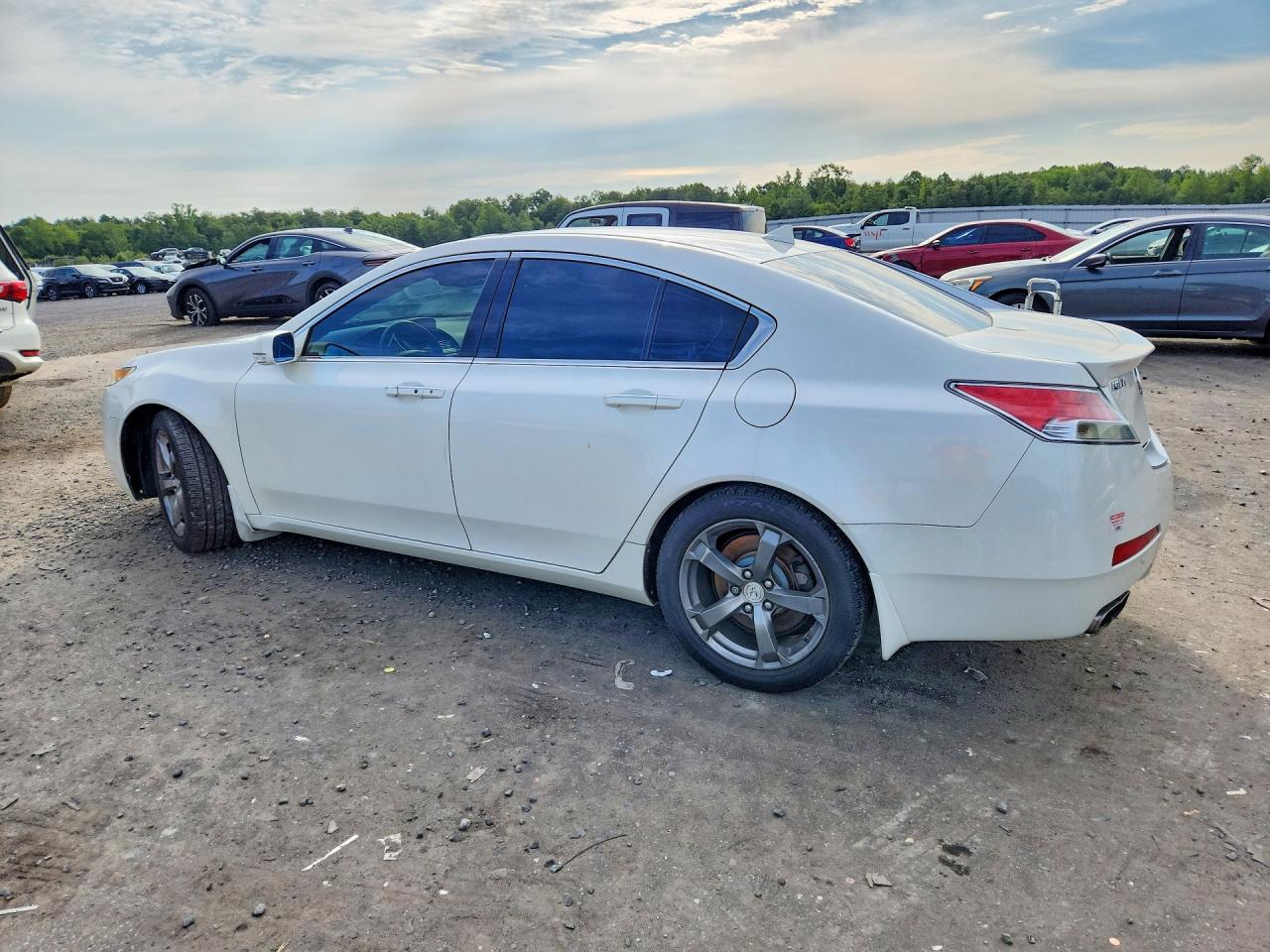 2010 Acura Tl Белый vin: 19UUA9F58AA007930