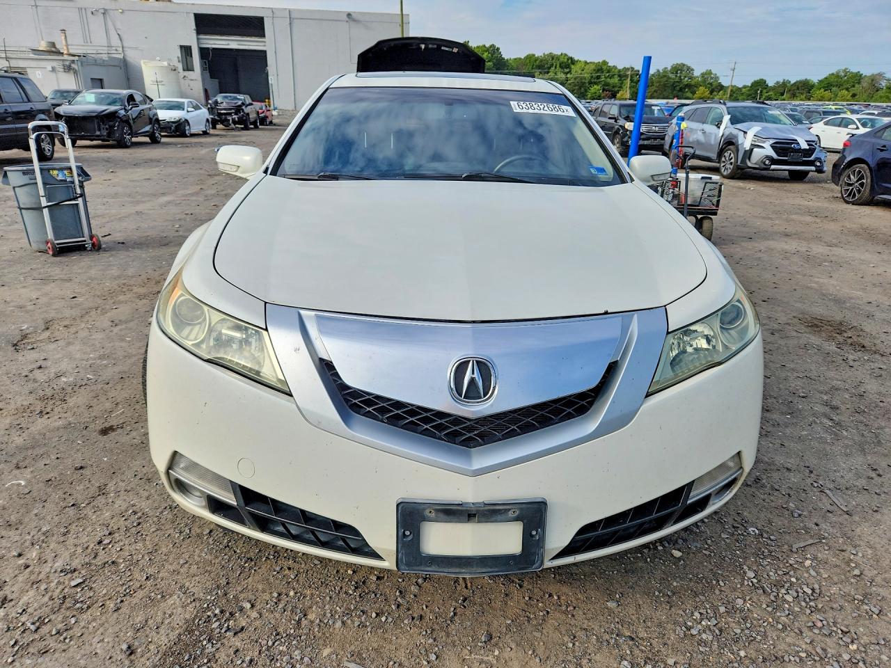 2010 Acura Tl Белый vin: 19UUA9F58AA007930