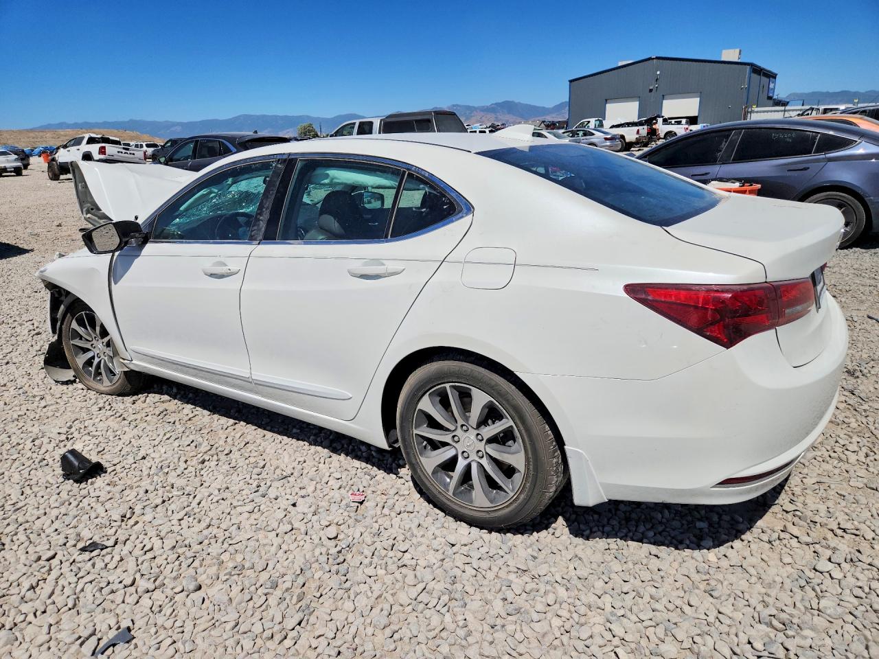 2015 Acura Tlx White vin: 19UUB1F30FA006727