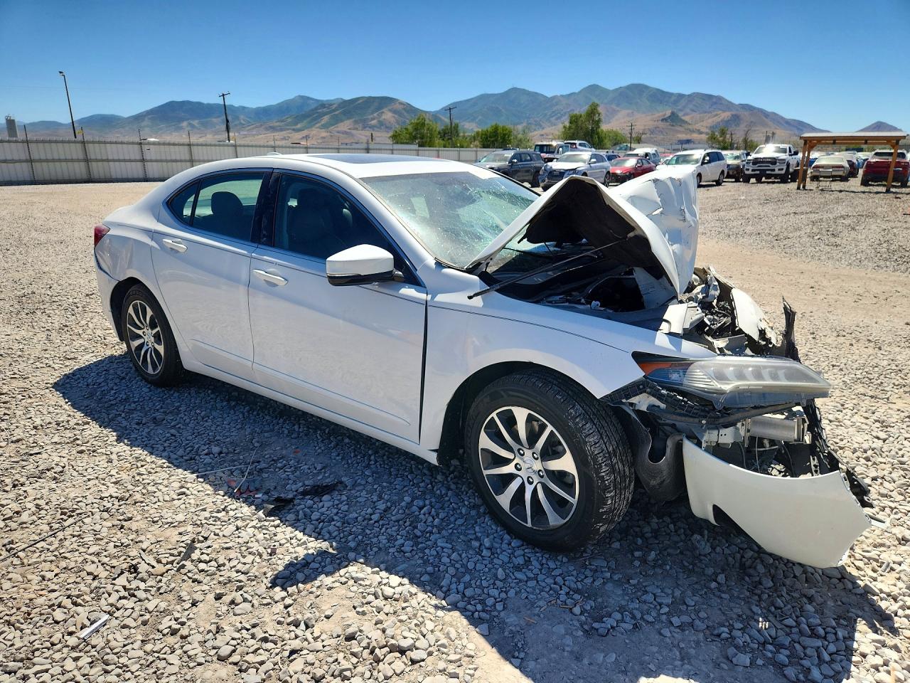 2015 Acura Tlx White vin: 19UUB1F30FA006727