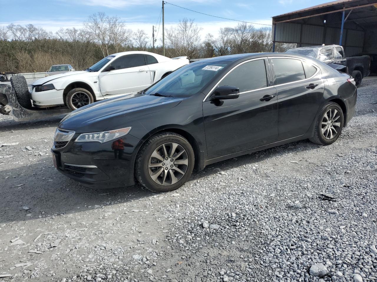 2015 Acura Tlx Black vin: 19UUB1F31FA019647