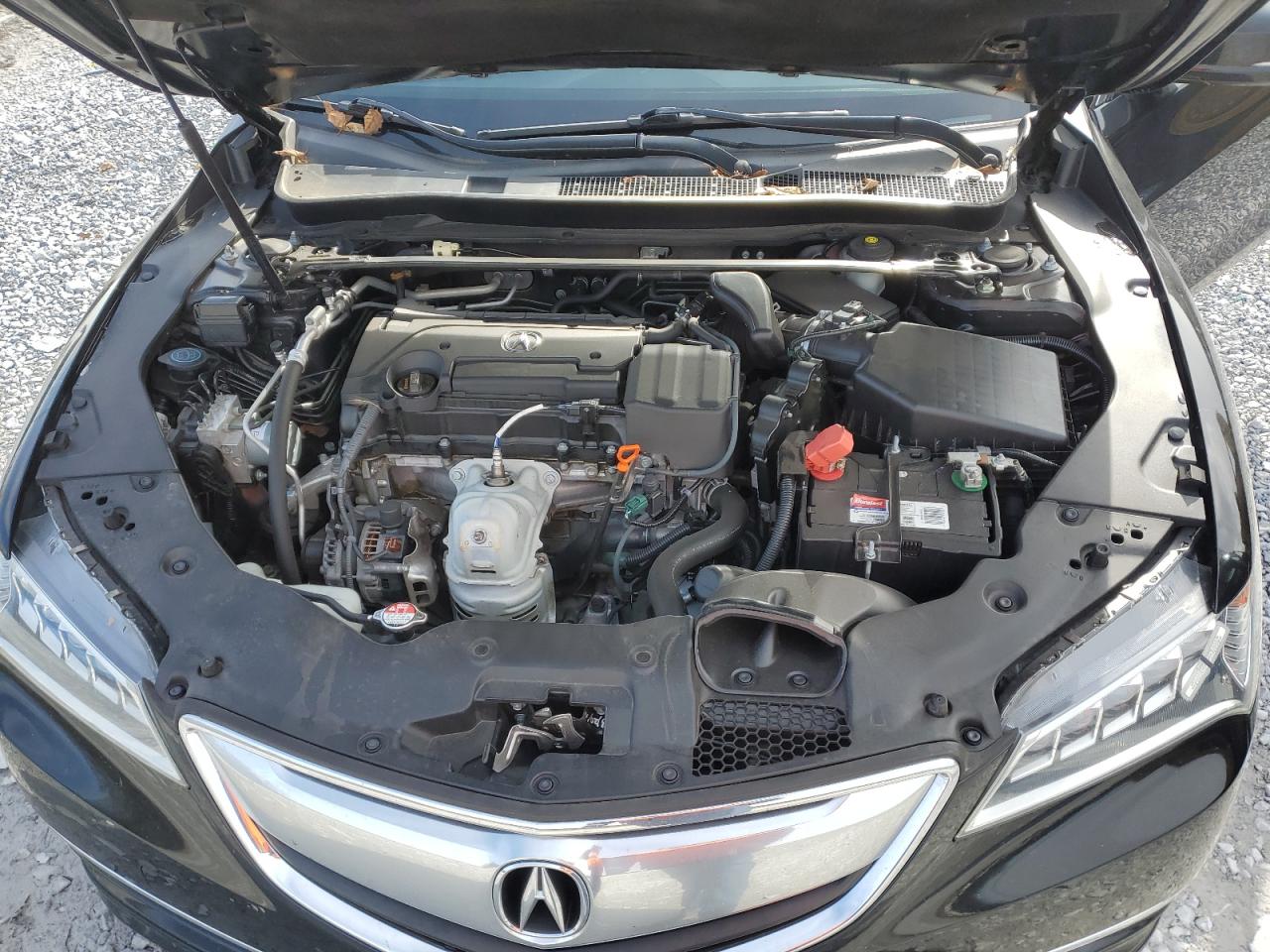 2015 Acura Tlx Black vin: 19UUB1F31FA019647