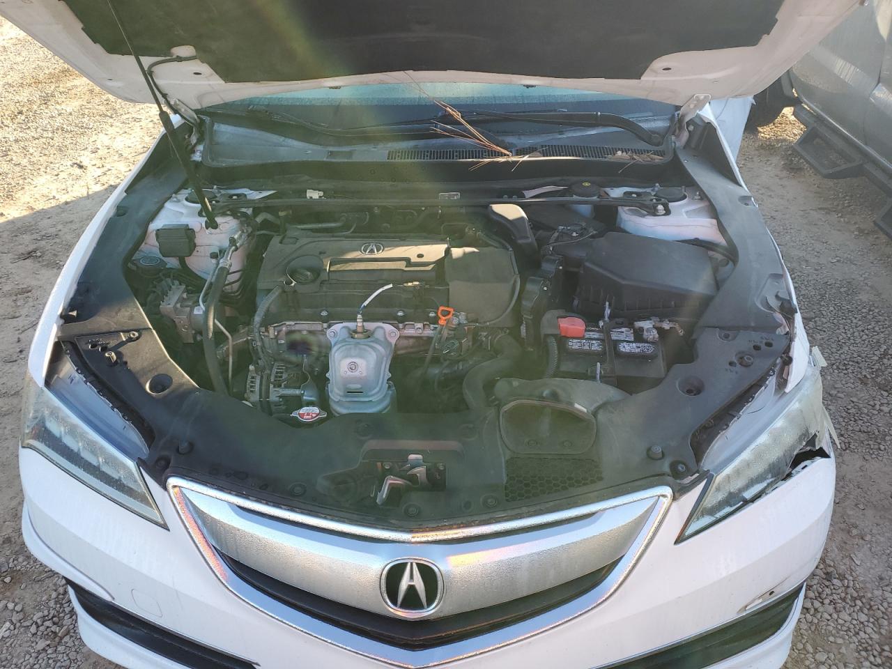2015 Acura Tlx White vin: 19UUB1F32FA005286