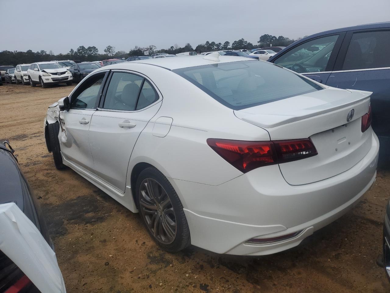 2015 Acura Tlx White vin: 19UUB1F32FA005286