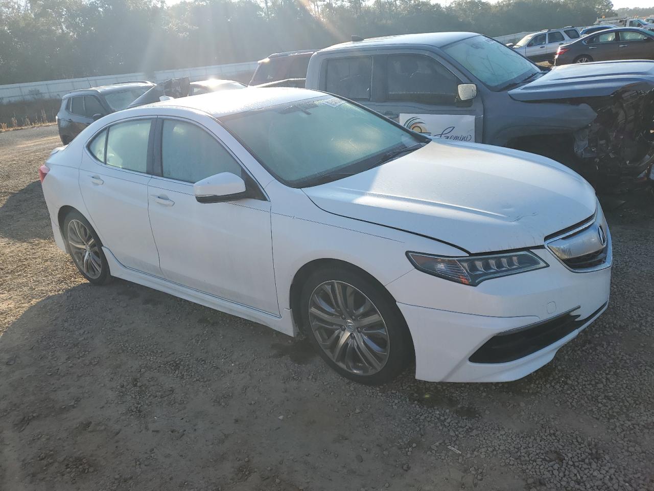 2015 Acura Tlx White vin: 19UUB1F32FA005286