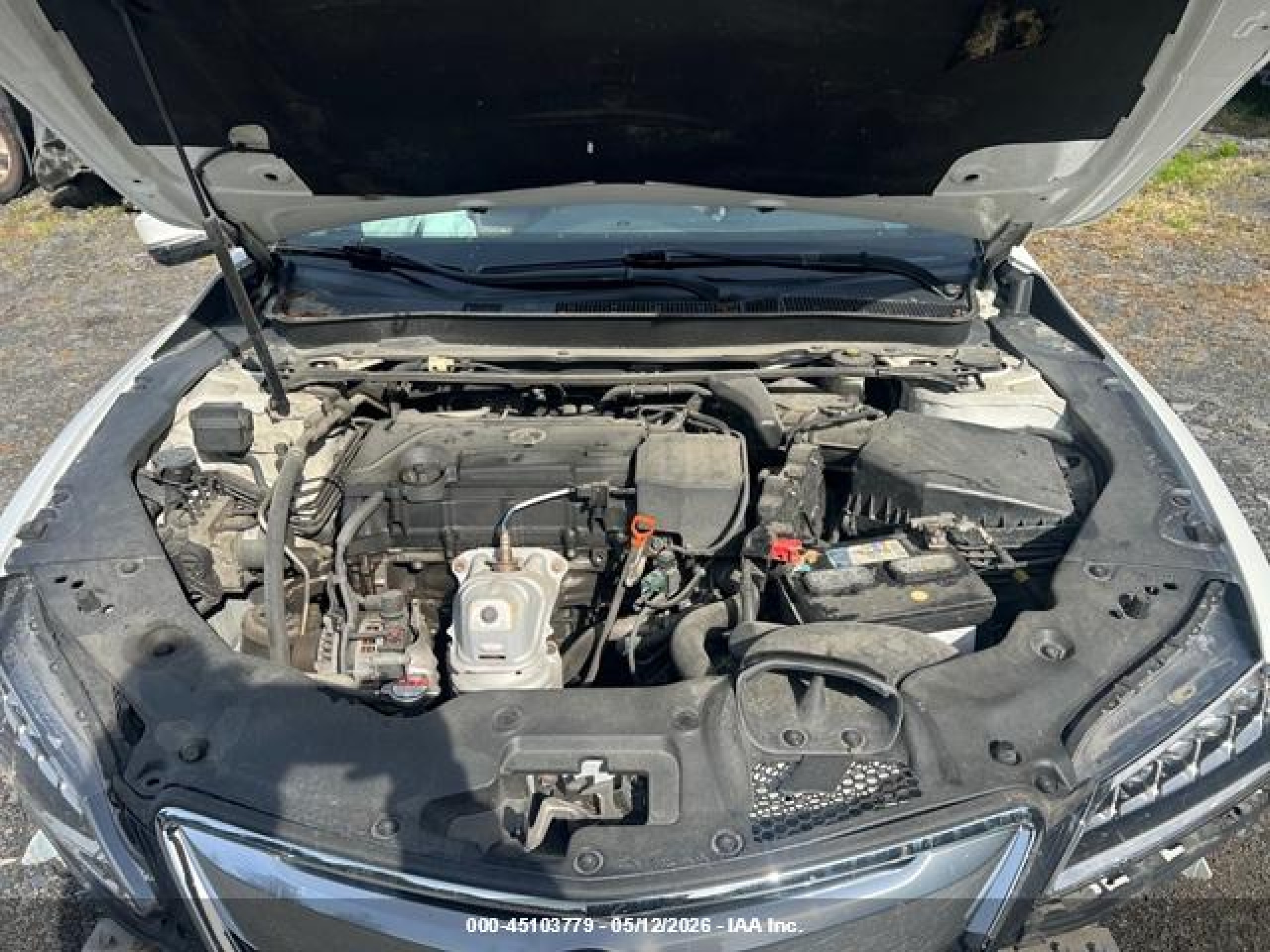 2015 Acura Tlx   White vin: 19UUB1F33FA000761