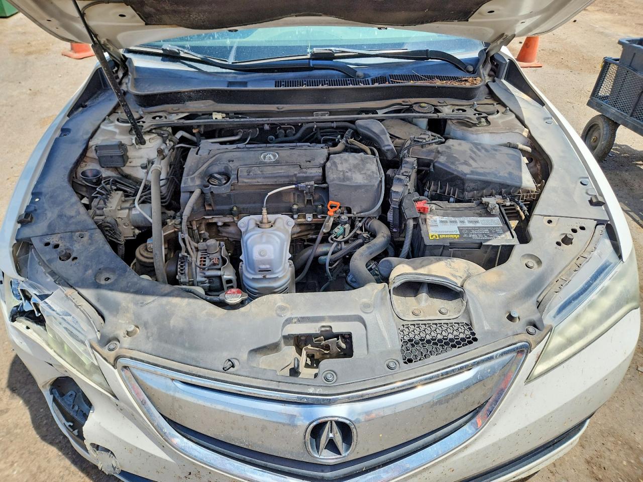 2015 Acura Tlx White vin: 19UUB1F33FA021321