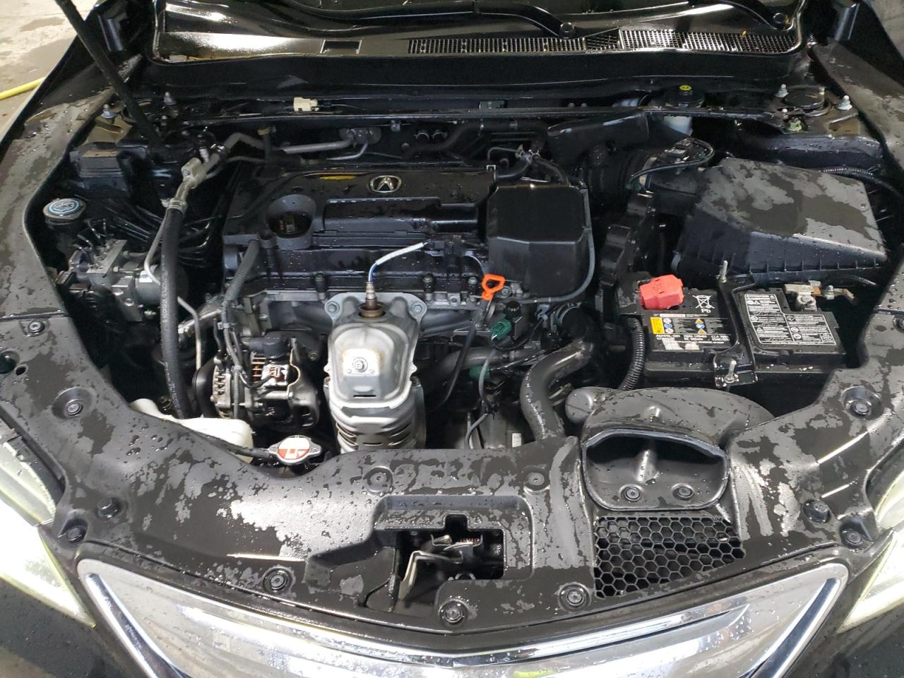 2017 Acura Tlx Черный vin: 19UUB1F34HA001274