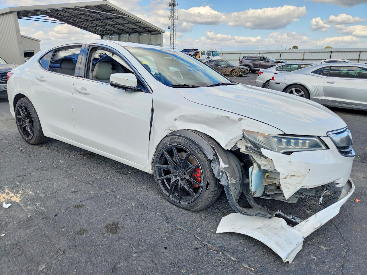 2015 Acura Tlx White vin: 19UUB1F35FA028769