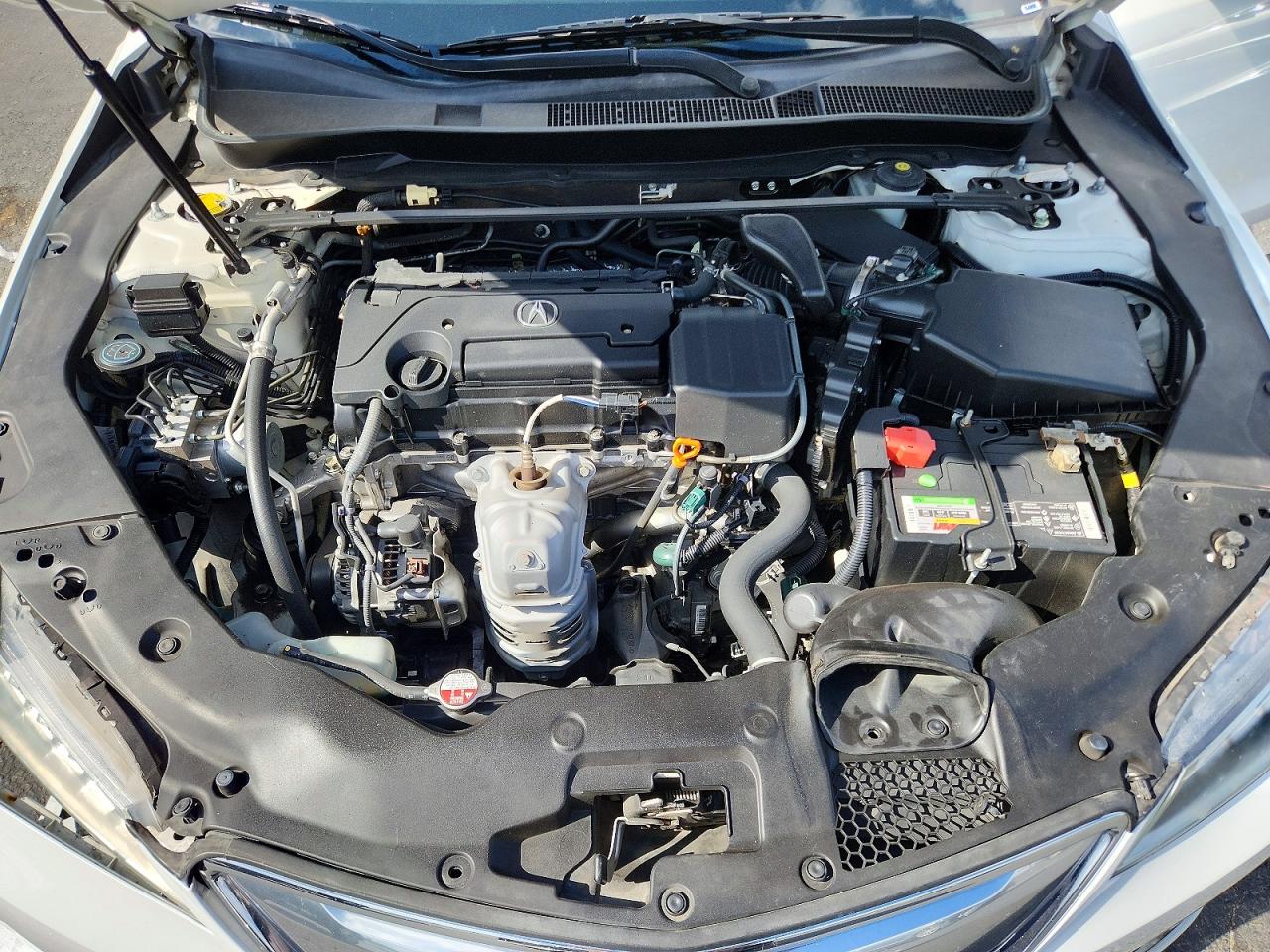 2015 Acura Tlx White vin: 19UUB1F35FA028769