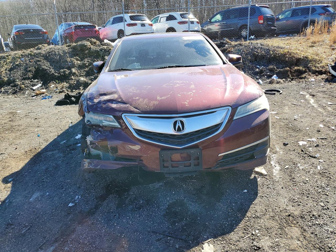 2015 Acura Tlx Burgundy vin: 19UUB1F37FA017014