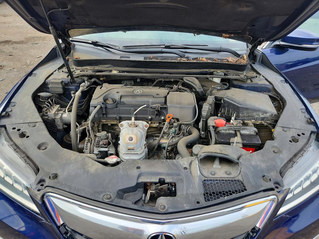 2015 Acura Tlx Blue vin: 19UUB1F3XFA005195