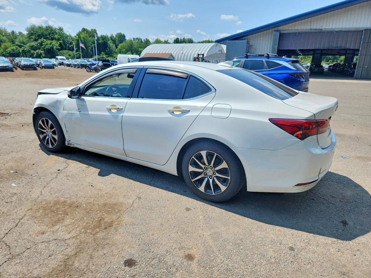 2015 Acura Tlx White vin: 19UUB1F3XFA011935