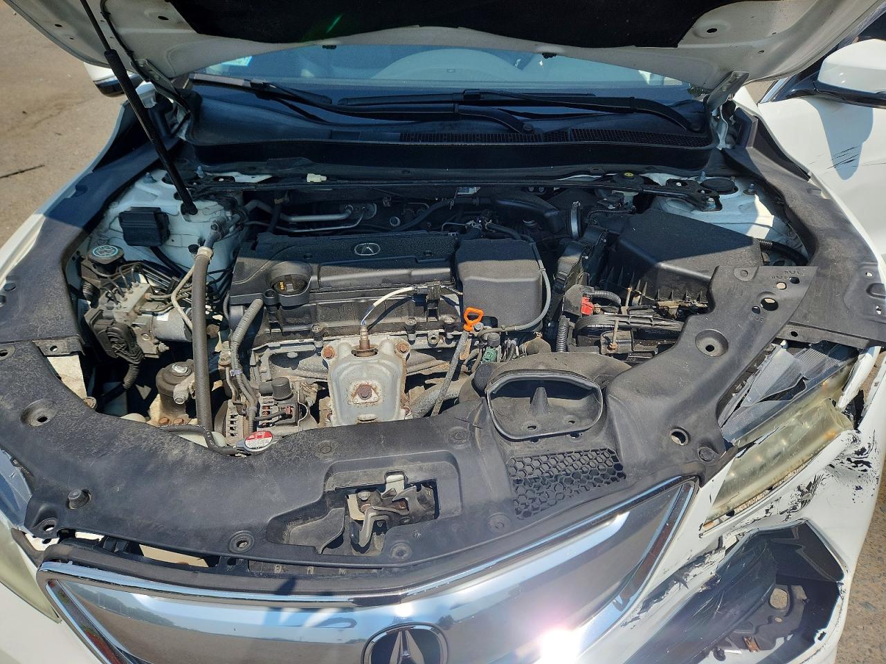 2015 Acura Tlx White vin: 19UUB1F3XFA011935
