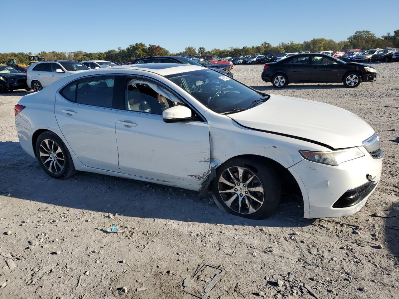 2015 Acura Tlx Белый vin: 19UUB1F3XFA012924