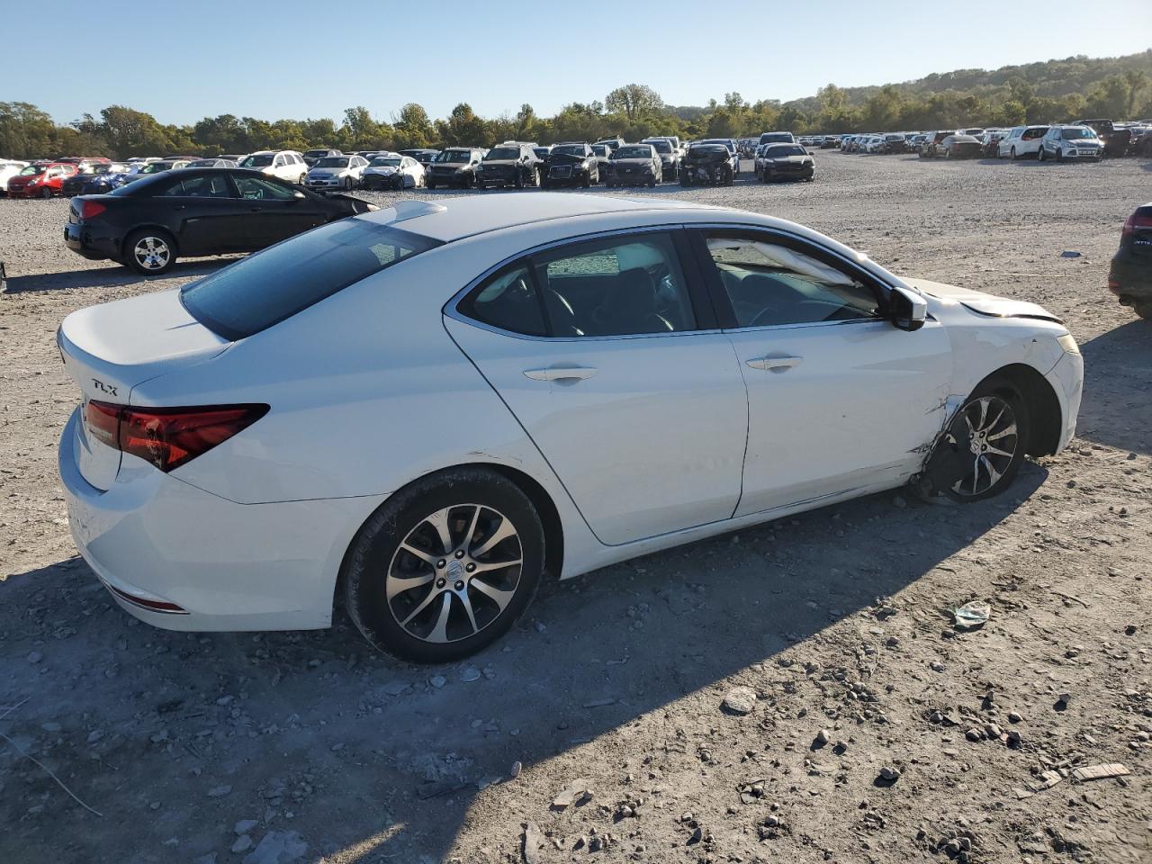 2015 Acura Tlx Белый vin: 19UUB1F3XFA012924