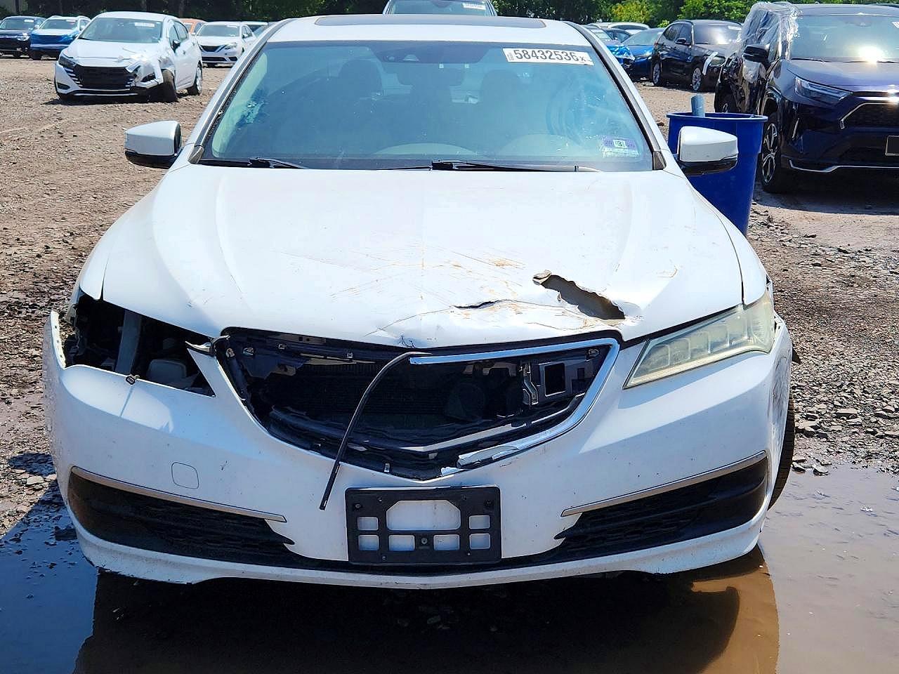 2015 Acura Tlx Tech Белый vin: 19UUB1F56FA004627