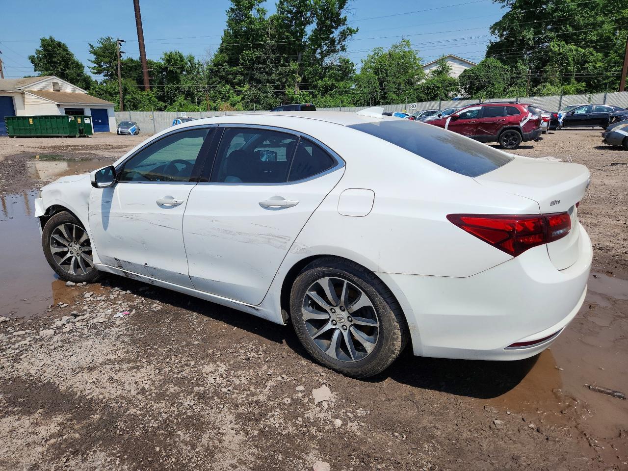 2015 Acura Tlx Tech Белый vin: 19UUB1F56FA004627