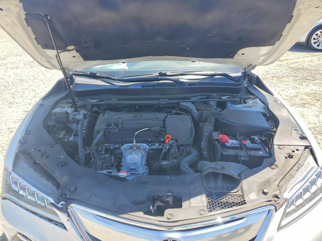 2015 Acura Tlx Tech White vin: 19UUB1F56FA007561