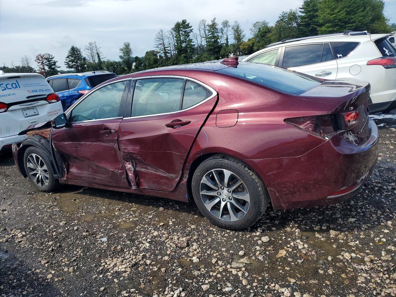 2015 Acura Tlx Tech Maroon vin: 19UUB1F57FA020612