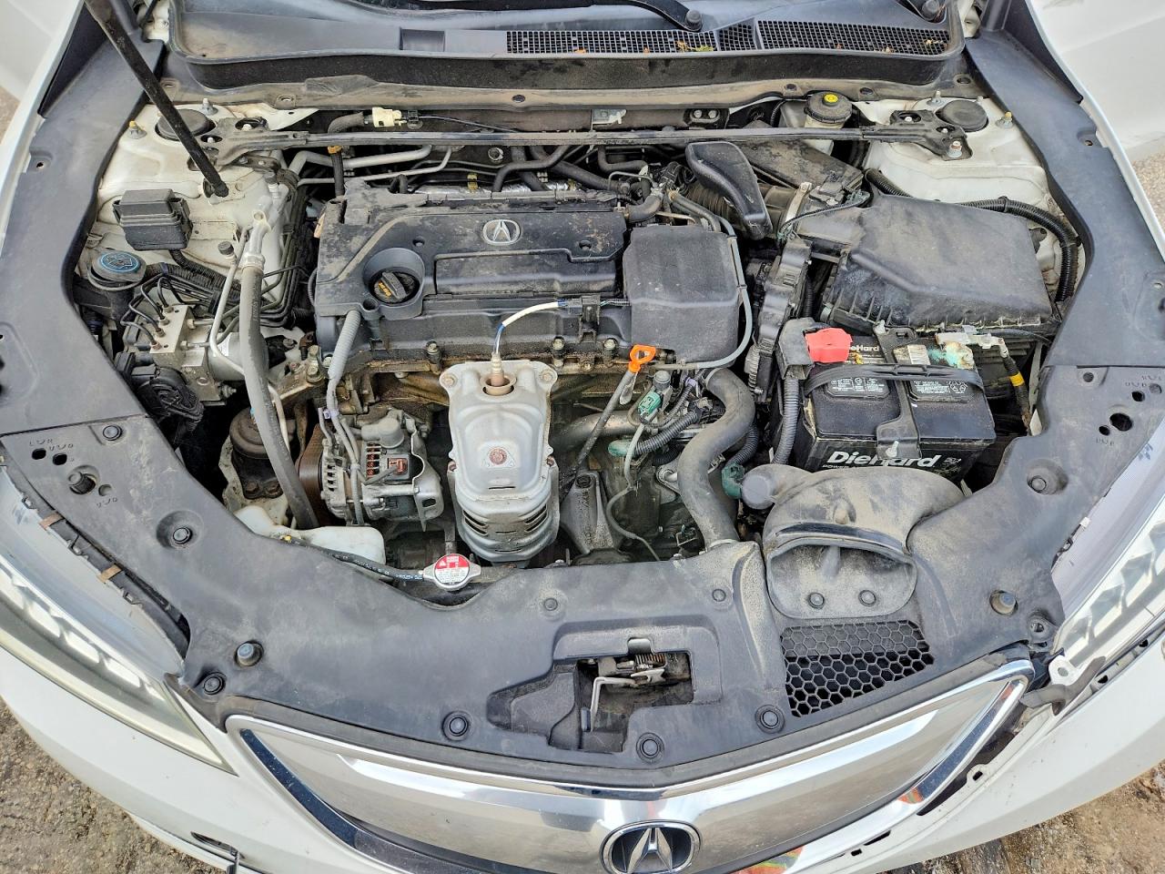 2015 Acura Tlx Tech White vin: 19UUB1F59FA014603