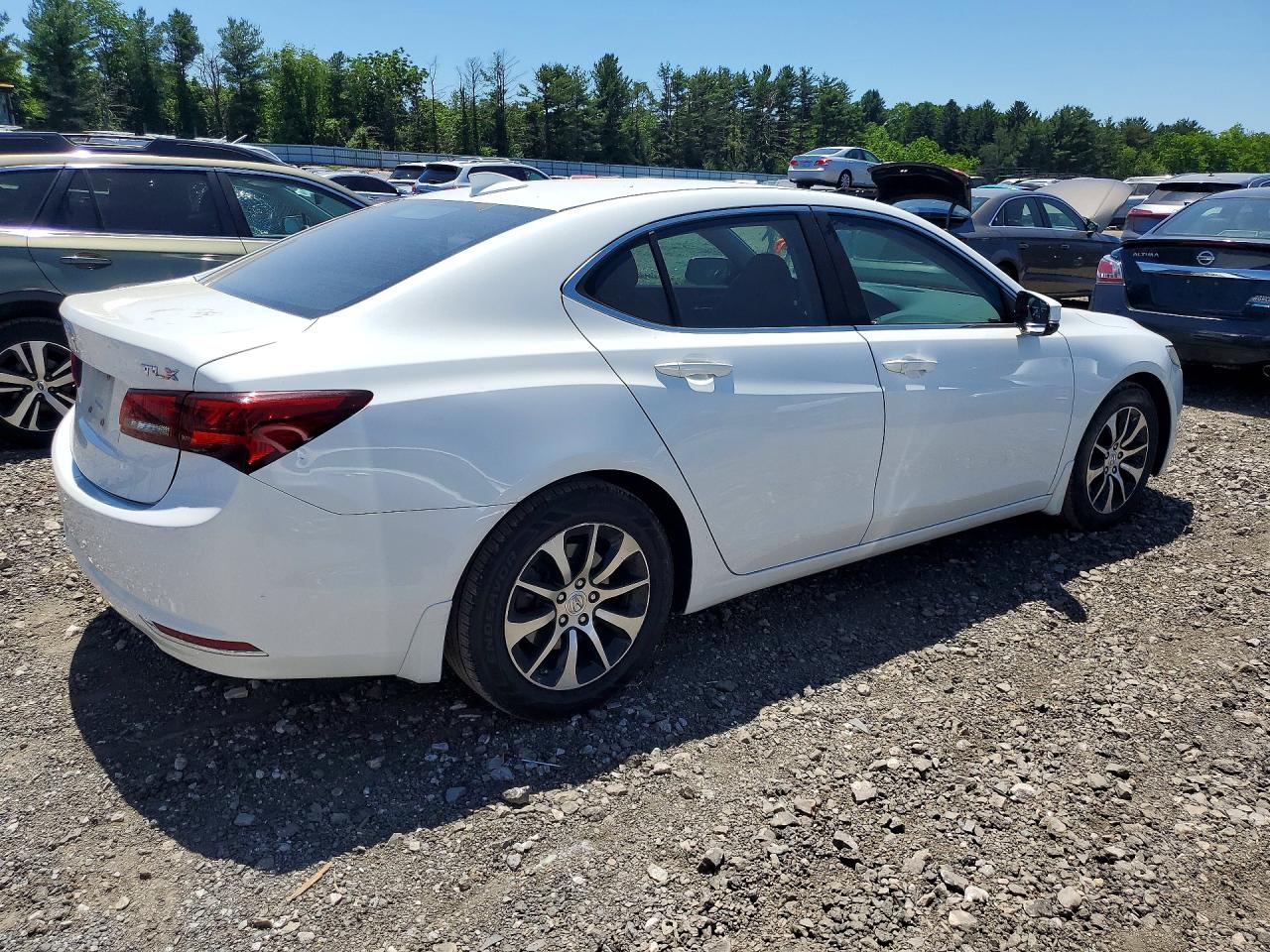 2015 Acura Tlx Tech Белый vin: 19UUB1F5XFA013265
