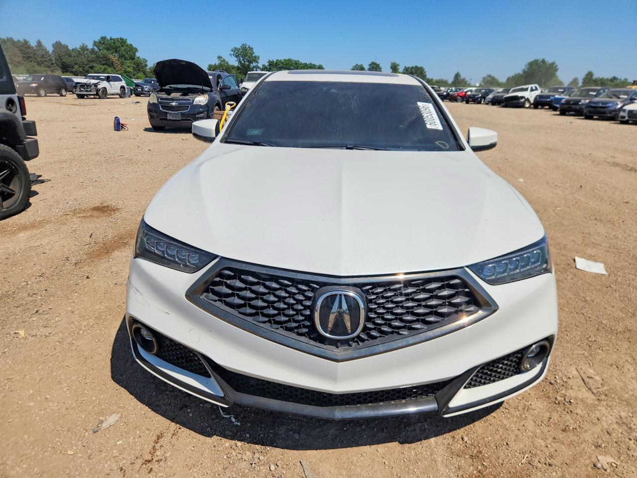 2019 Acura Tlx Technology White vin: 19UUB1F62KA006409