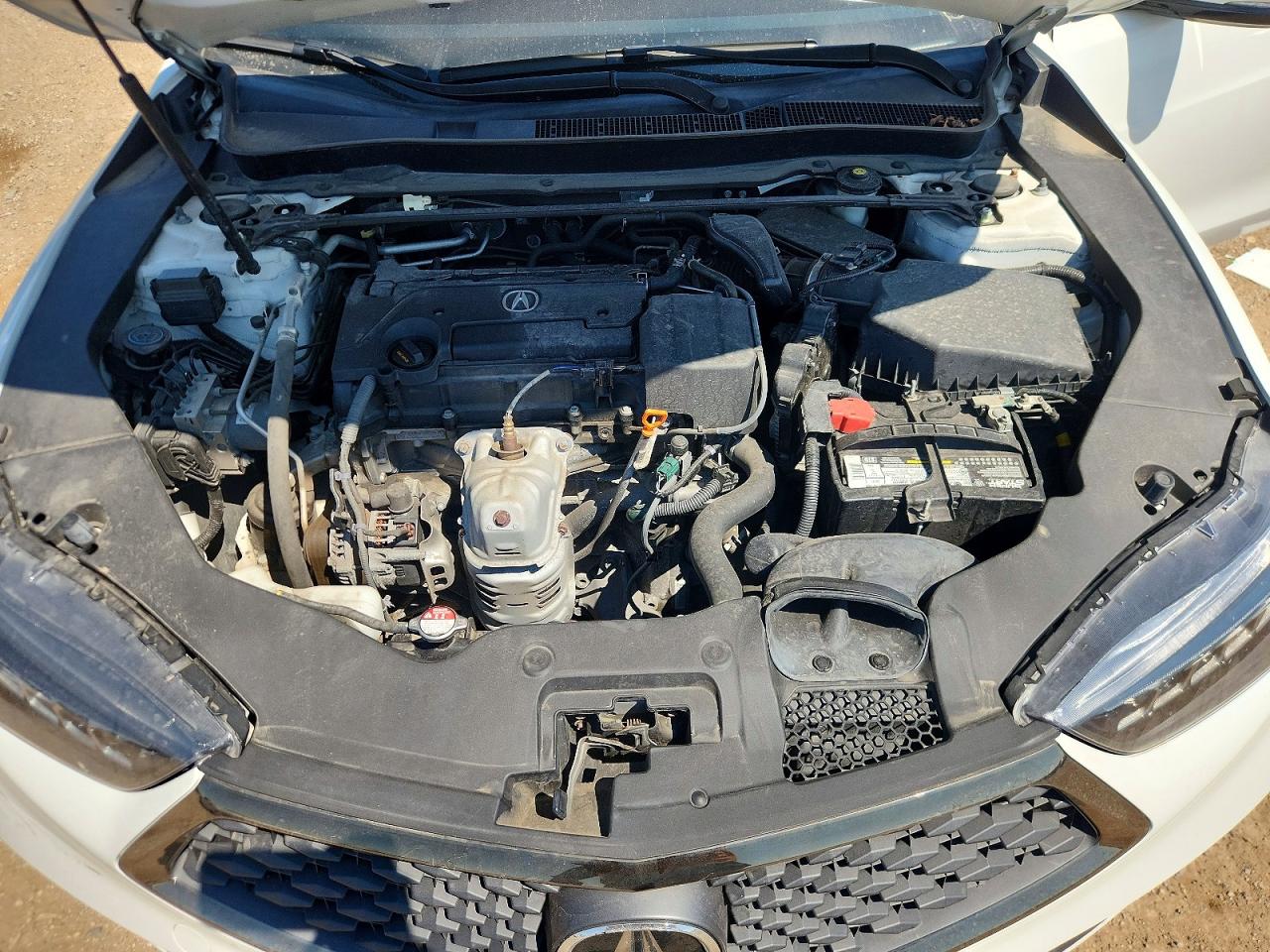 2019 Acura Tlx Technology White vin: 19UUB1F62KA006409