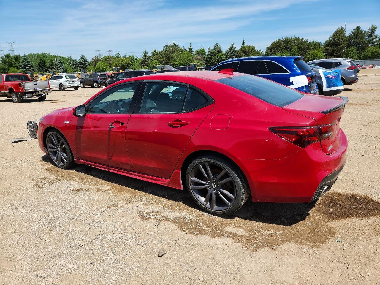 2019 Acura Tlx Technology Red vin: 19UUB1F63KA004426