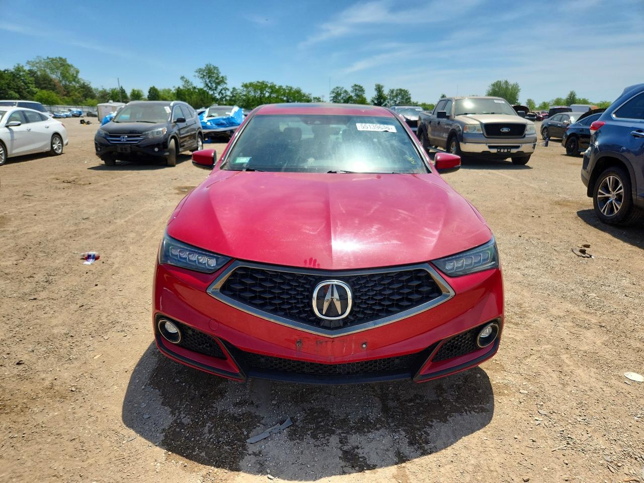 2019 Acura Tlx Technology Red vin: 19UUB1F63KA004426