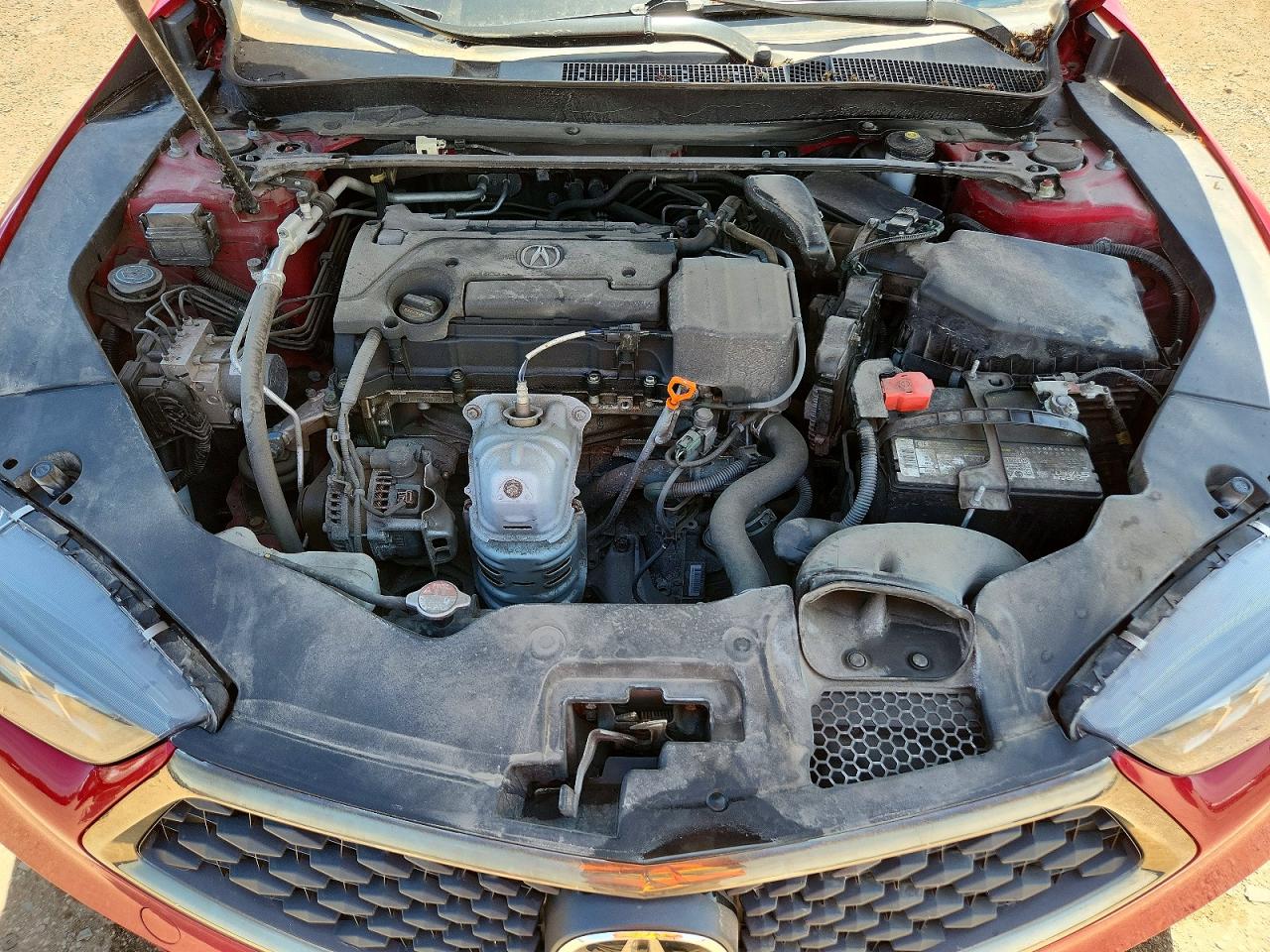 2019 Acura Tlx Technology Red vin: 19UUB1F63KA004426