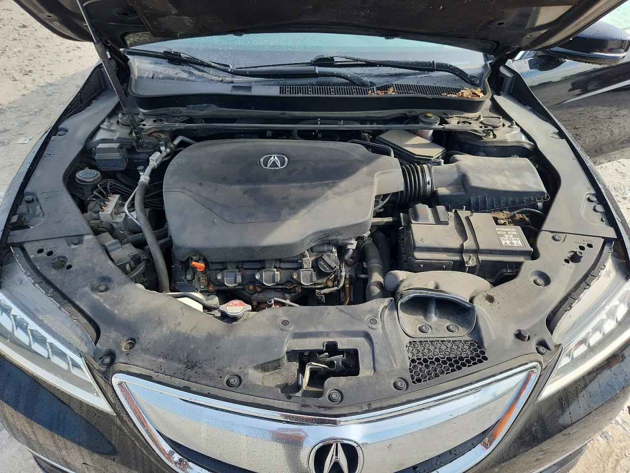 2015 Acura Tlx Черный vin: 19UUB2F31FA001199