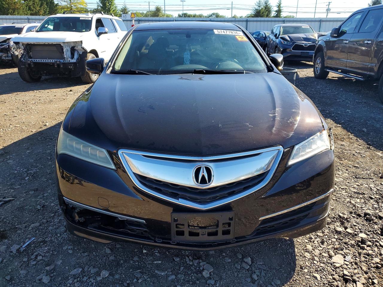 2015 Acura Tlx Brown vin: 19UUB2F31FA003356
