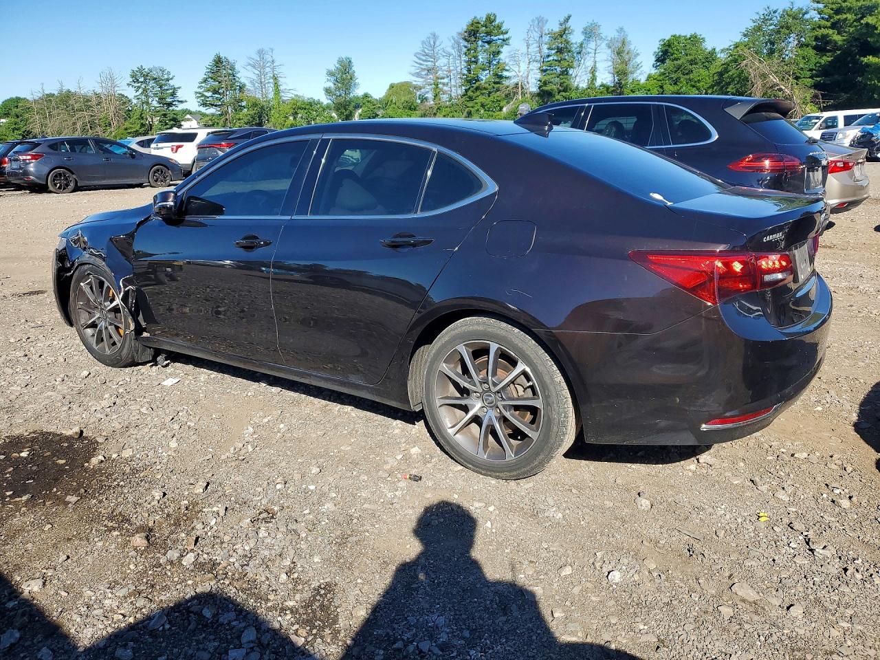 2015 Acura Tlx Brown vin: 19UUB2F31FA003356