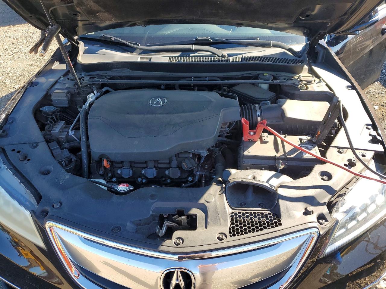 2015 Acura Tlx Brown vin: 19UUB2F31FA003356