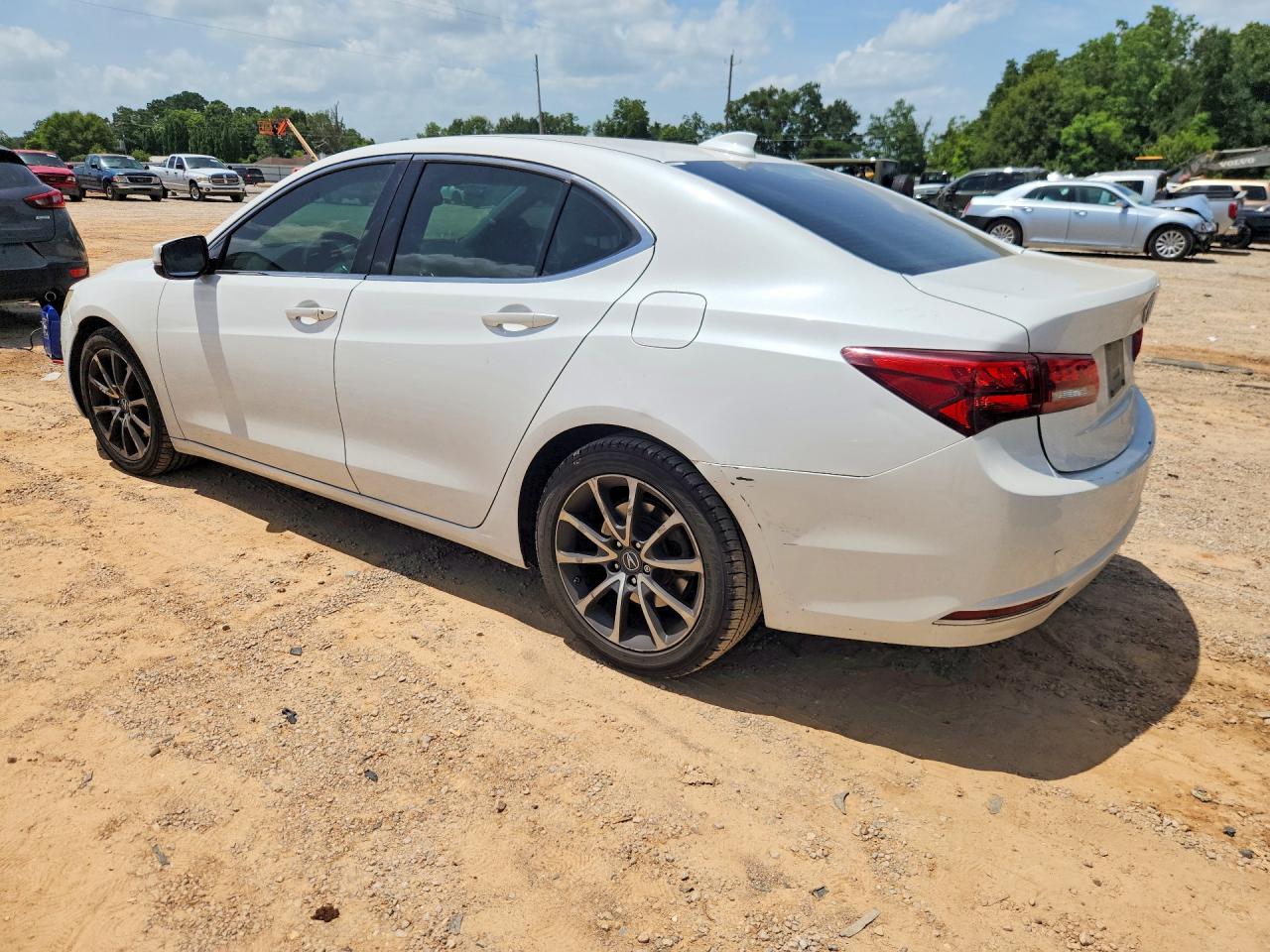 2015 Acura Tlx White vin: 19UUB2F31FA026068