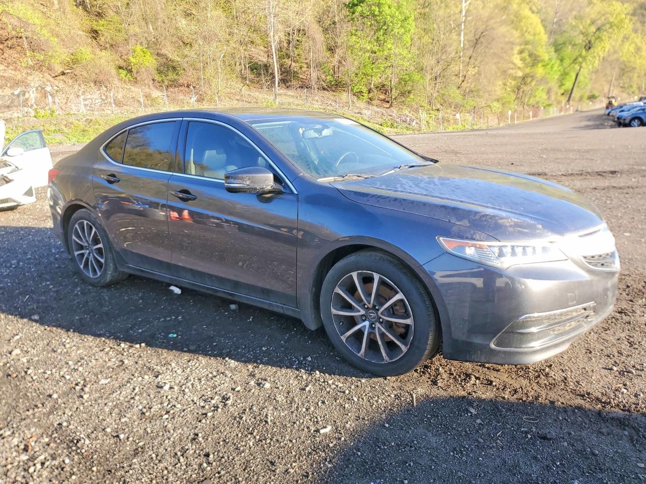 2015 Acura Tlx Gray vin: 19UUB2F32FA016293