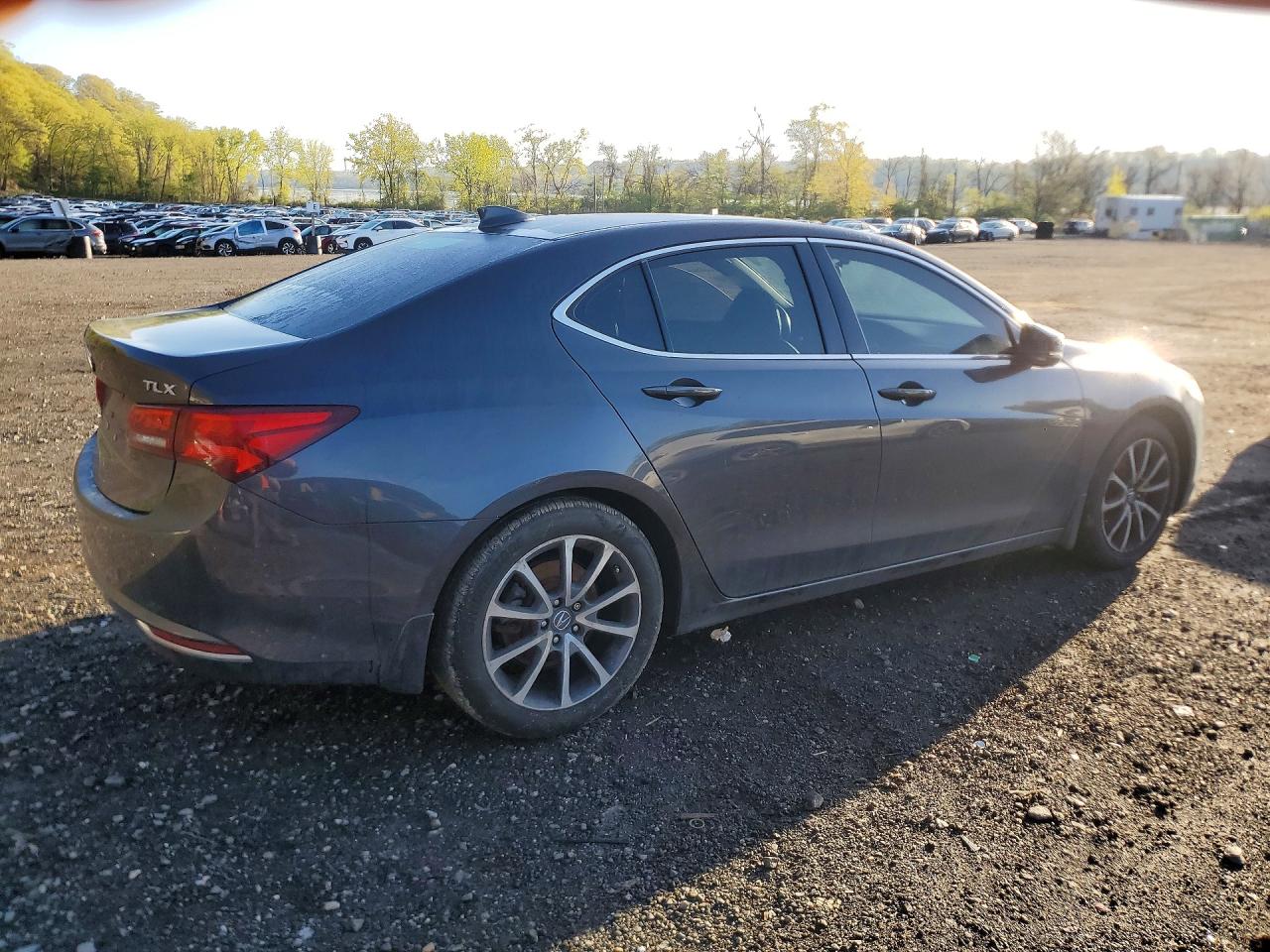 2015 Acura Tlx Gray vin: 19UUB2F32FA016293