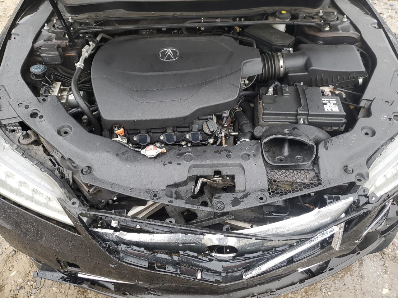 2015 Acura Tlx Black vin: 19UUB2F39FA006733